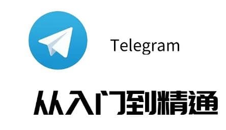 2025 Telegram电报全平台下载终极指南：安全安装/地区限制破解/隐私保护策略